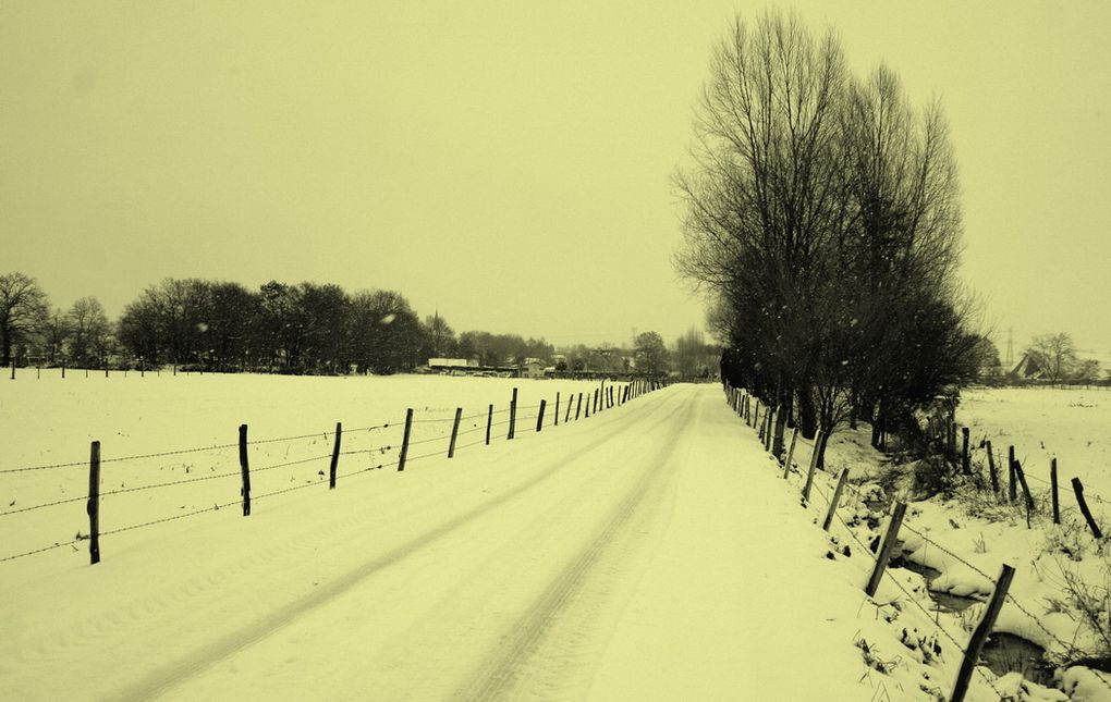 Dans la Boucle d'Anneville entre 15 et 20 cm de neige sont tombés