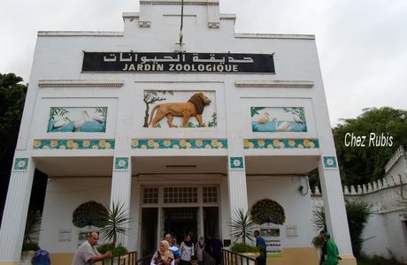 Nos amis du jardin zoologique...