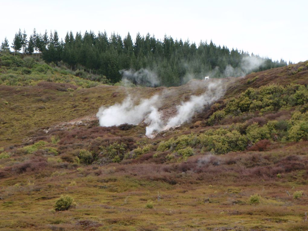 Album - New Zealand - North Island