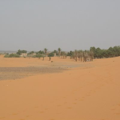 Direction Sahara