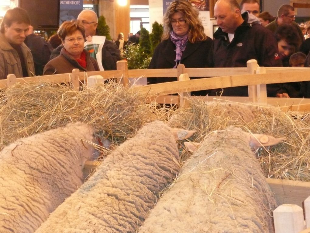 Album - Salon-International-de-l-Agriculture-2010