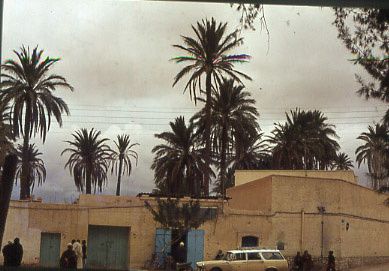 Album - LAGHOUAT-annee-1972