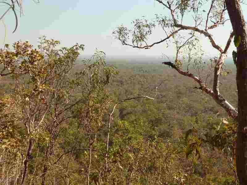 Album - 43 Jumping Crocs and Litchfield National Park