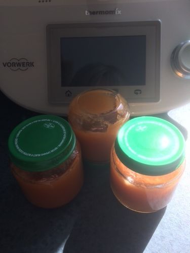 Petits Pots Bebe Ma Vie En Thermomix