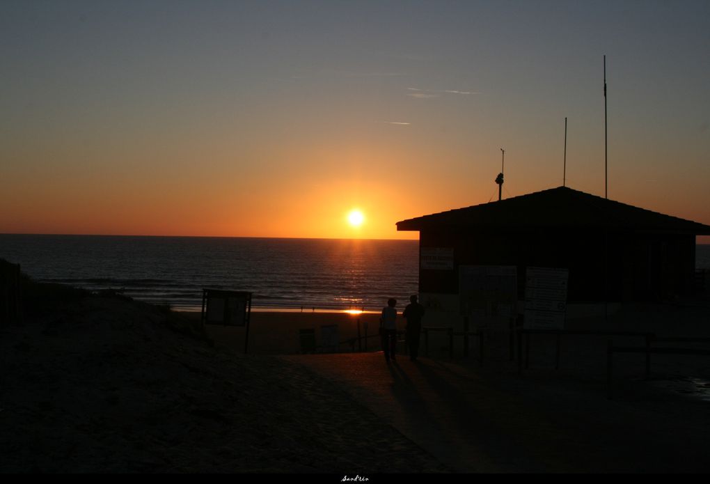 Album - Contis plage, Landes