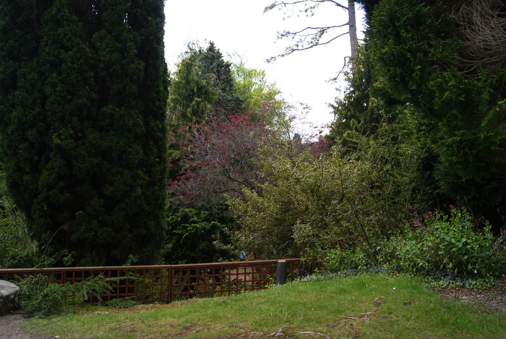 Le parc et les jardins de Powerscourt