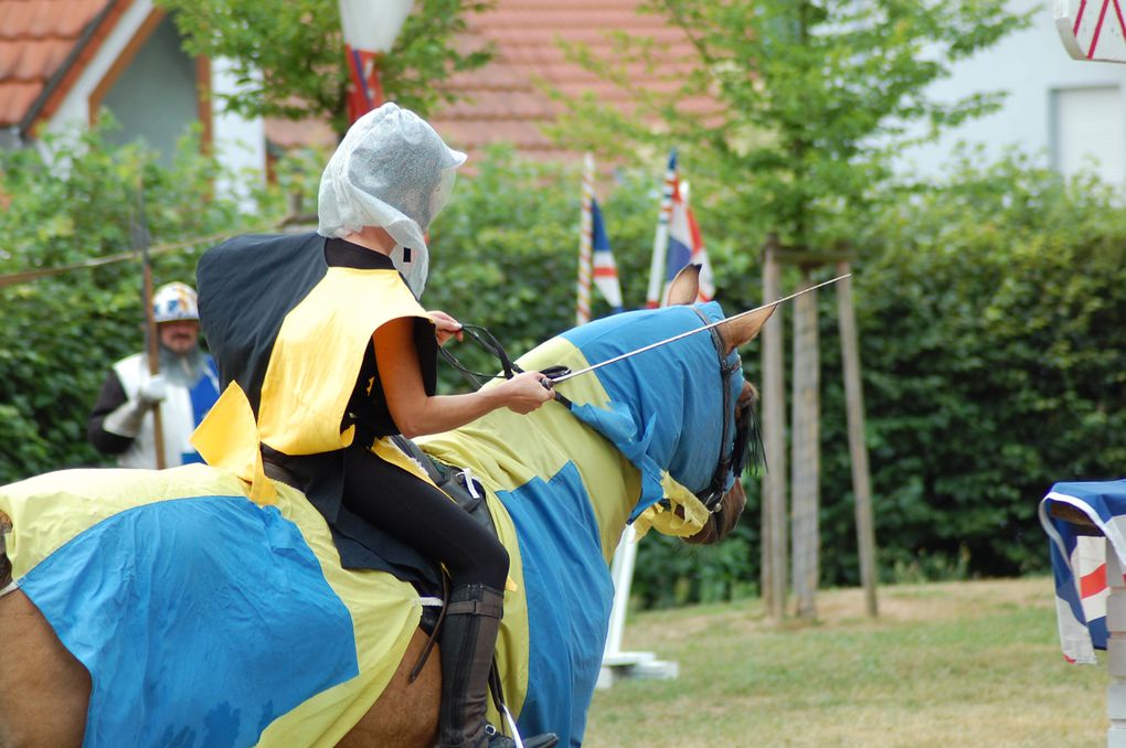 18.07.2010 Obergrombach
Burgfest mit mittelalterlichen Ritterspielen