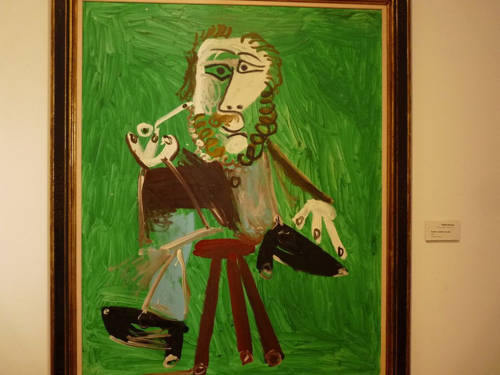 mais aussi d'autres oeuvres de Picasso Dali Miro Chagall 