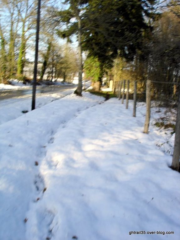 Album - Entrainement-trail-hiver