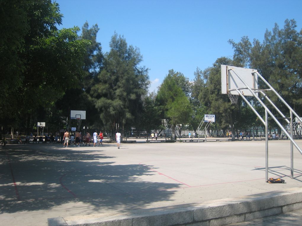 Xiamen University (Xiamen Daxue 厦门大学 ou Xia Da pour les locaux) est réputée pour avoir le plus beau campus universitaire de toute la Chine. C'est sûr que même à côté de Lille 1 il n'y a pas photo. Enfin si justement, plein de photos po