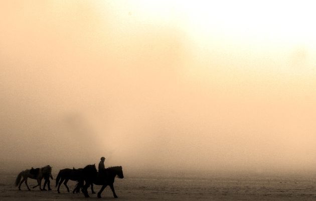 Album - Peche a pied  sepia