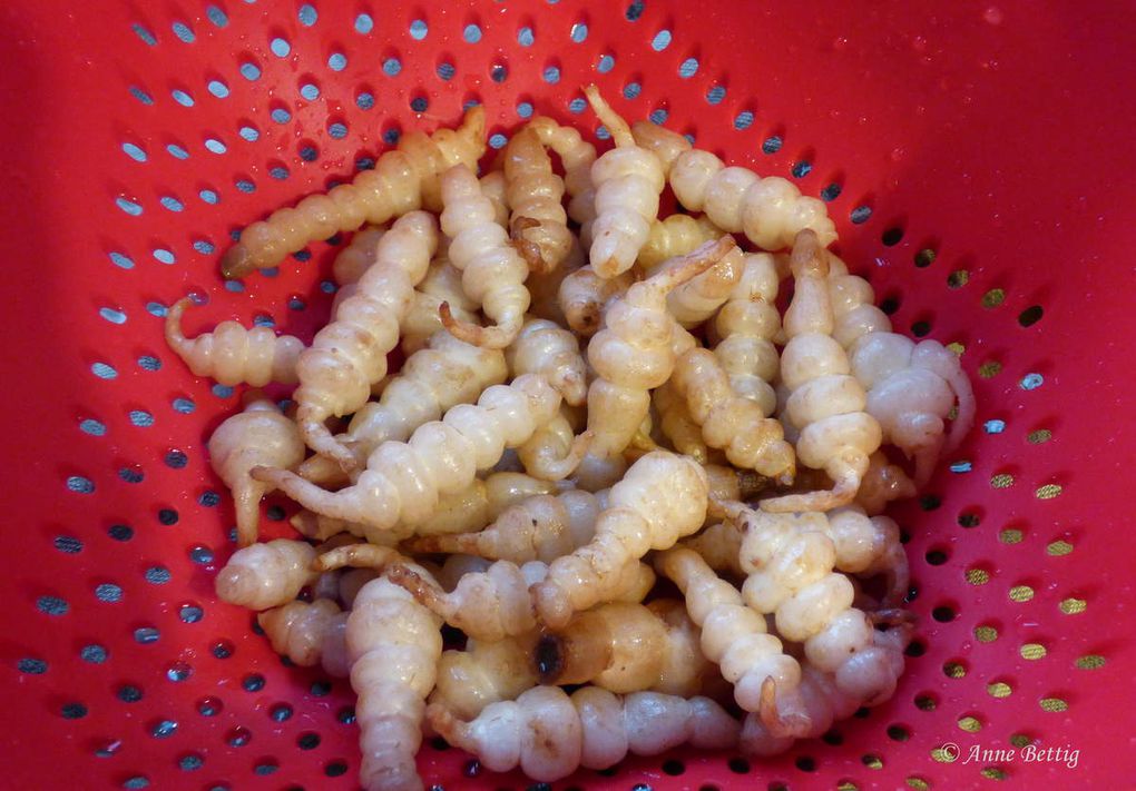 Crosnes du Japon