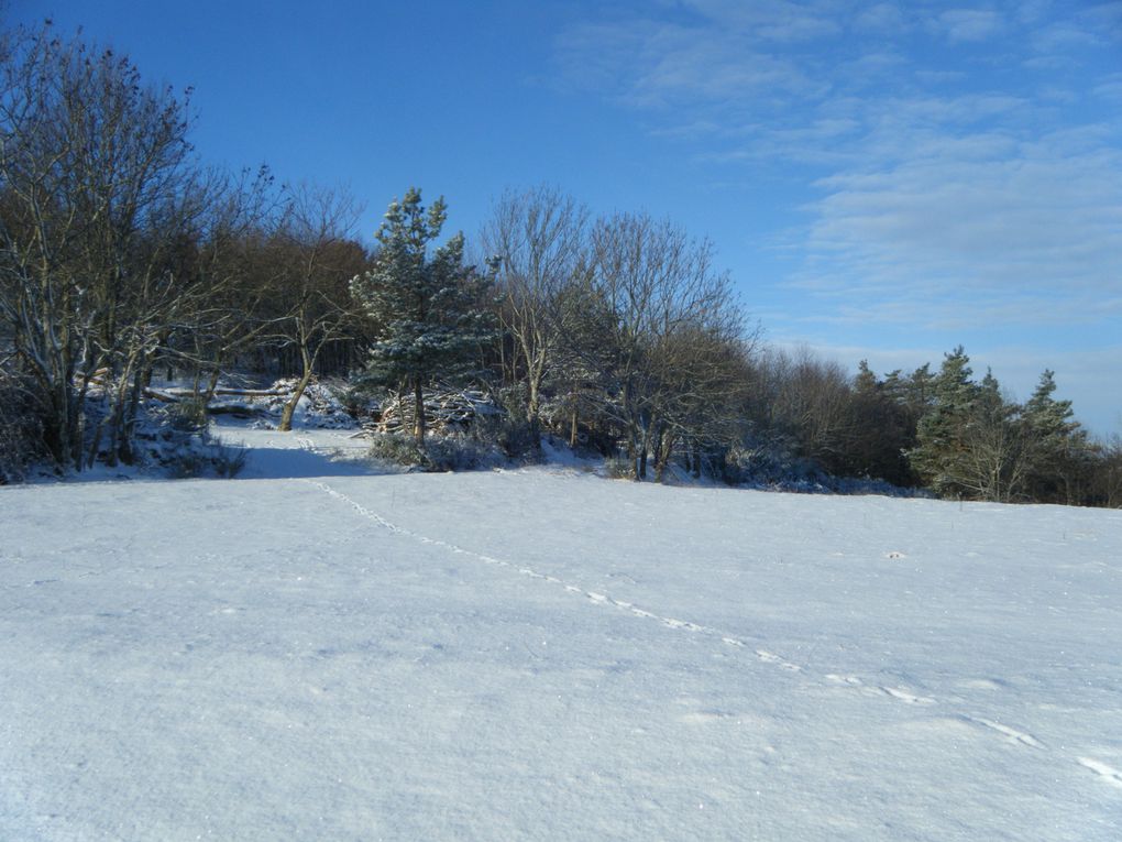 Une petite balade ce matin-là avec 5-6 cm de neige le soleil commencer a sortir ...