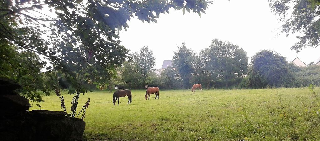 Petite promenade à la campagne