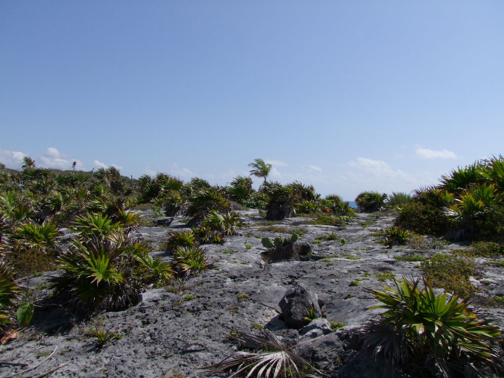 Album - Mexique Tulum