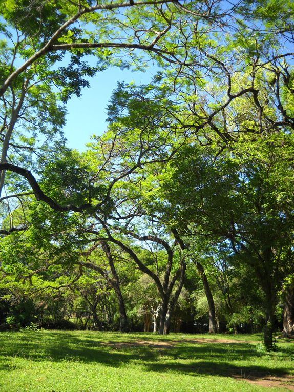 Album - Paraguay--Le-meconnu-pays-Guarani