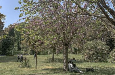 Une journée de printemps 