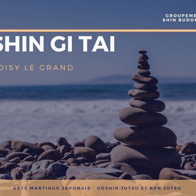 VENEZ NOUS RETROUVER SUR FACEBOOK ... SHIN GI TAI NOISY LE GRAND