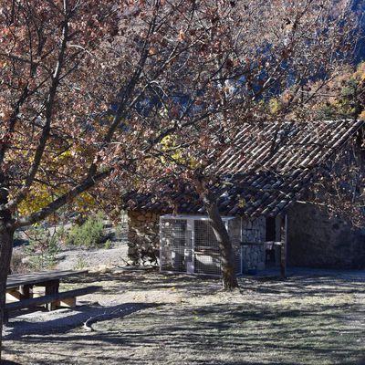 Cabane des Blaches (ONF)