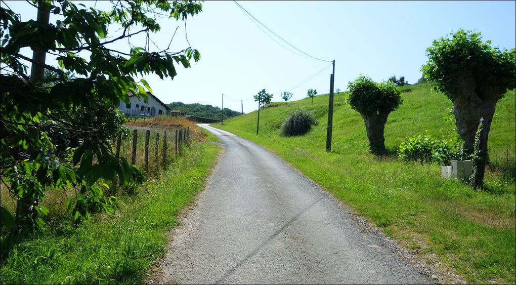 Balade à Saint-Martin-de-Seignanx (Landes 40) AA