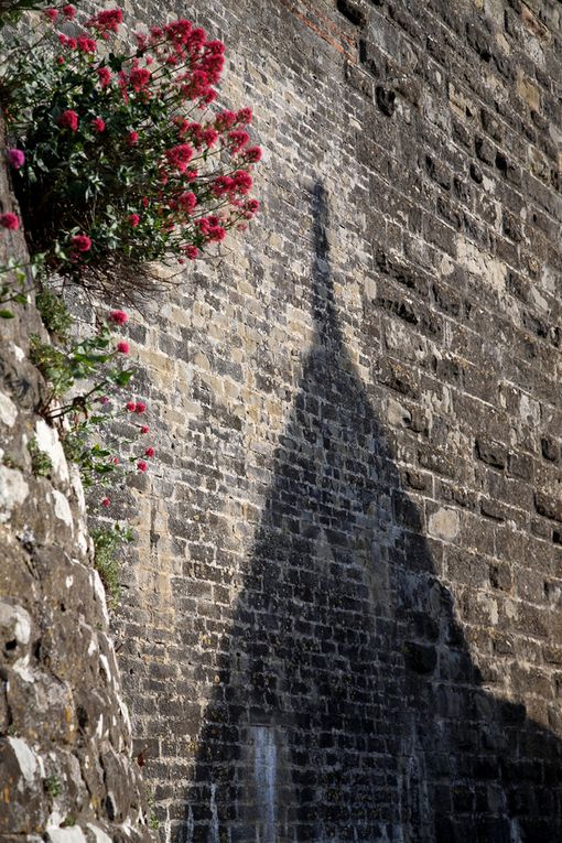 Album - La Citadelle de Carcassonne