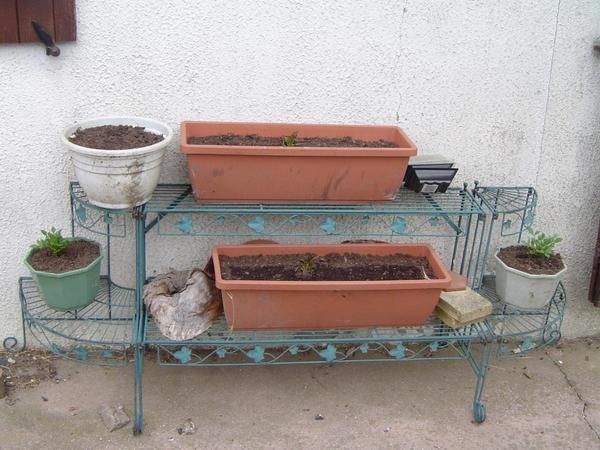 Album - Nature-et-jardin-3