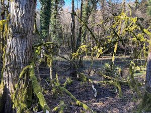 MERCUES, le 5 février