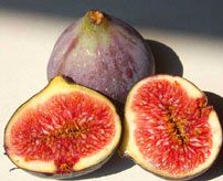 Calories dans les figues   2 figues sèches de 15g vous apportent :