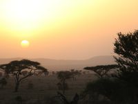 Serengeti - entre Kleins Gate et Seronera (3)