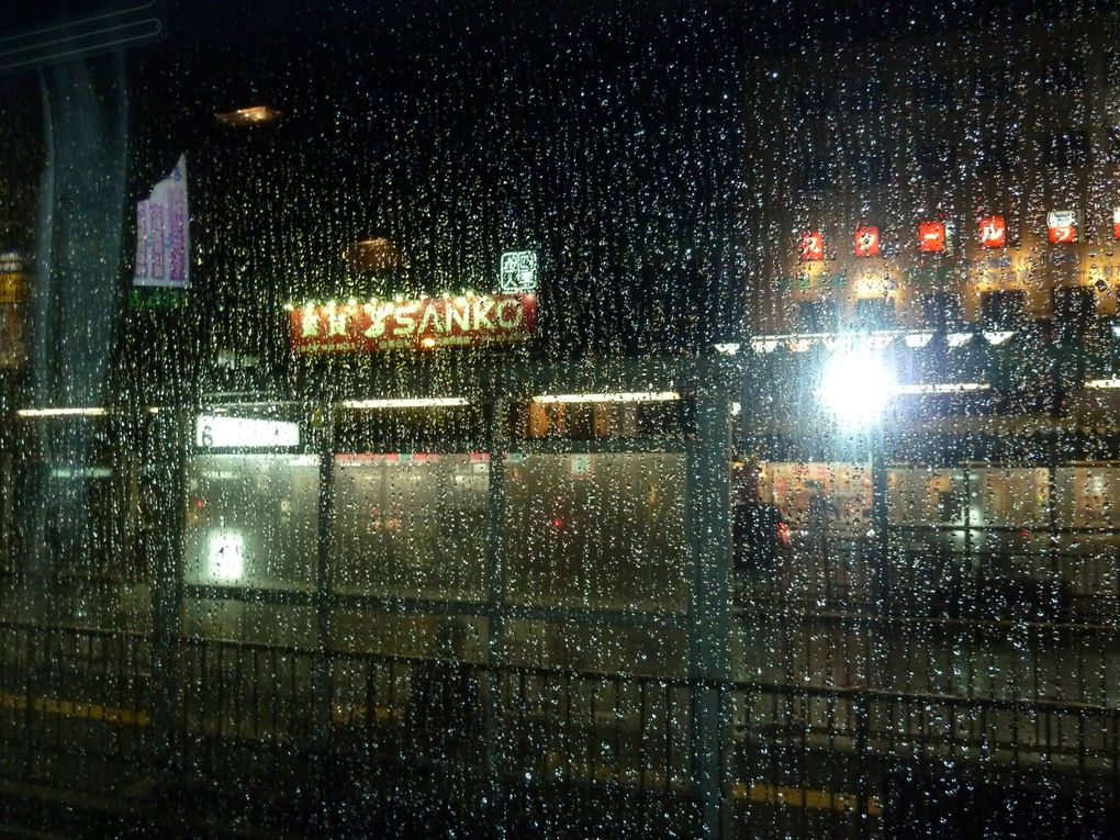 Nara sous la pluie avec Karin