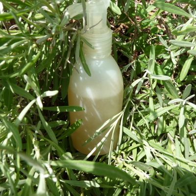 Shampoing tout simple pour cheveux gras