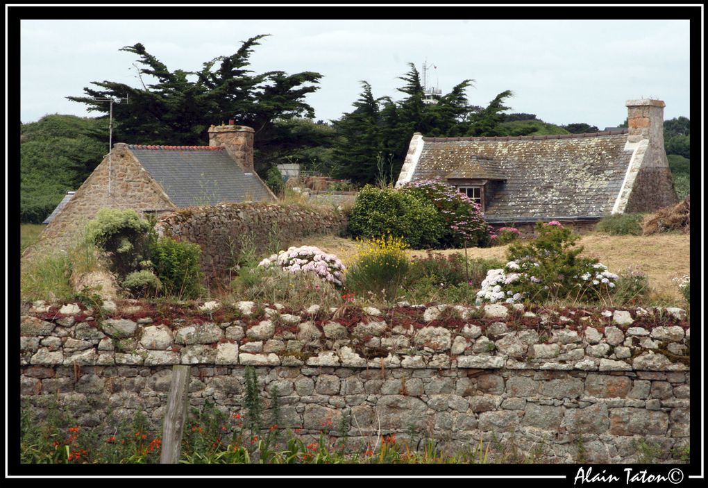 Album - île-de-Bréhat