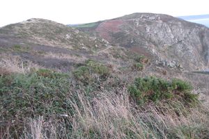 Baie d'Ecalgrain........(nord cotentin)