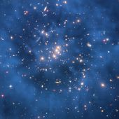 On the nature of dark matter - Consciousness and the Universe