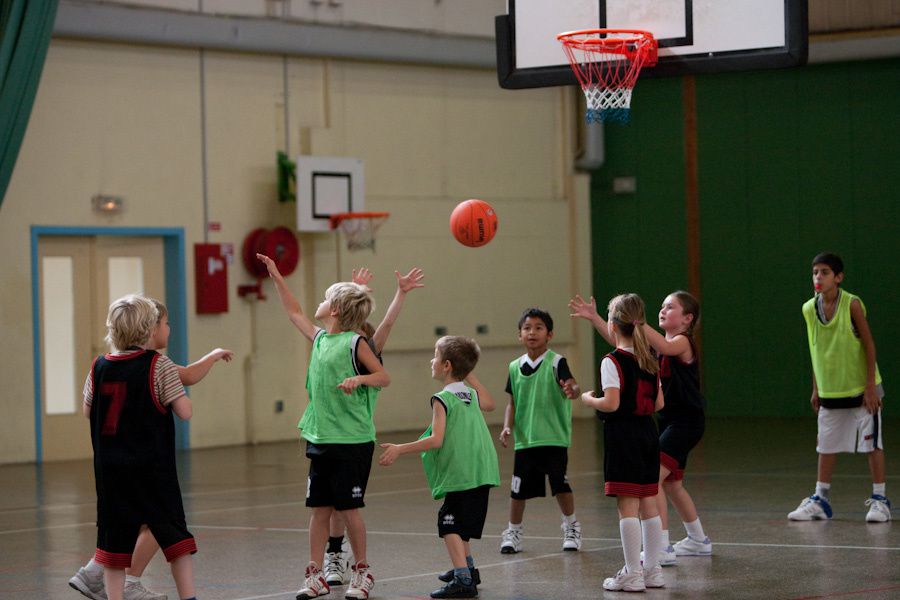 Diverses photos de l'équipe des mini-poussins de la saison 2009-2010