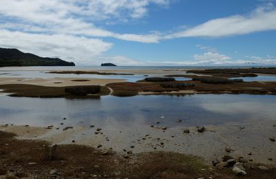 Abel Tasman & West Coast