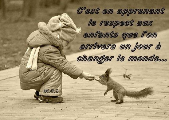 Album Citations Proverbes Maltraitance Animale
