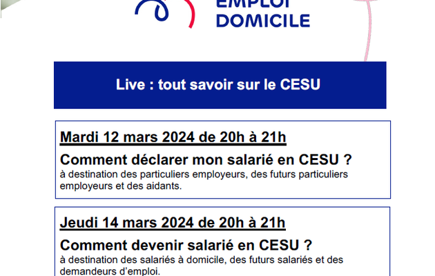 Les visios France Emploi Domicile sur les CESUs