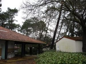 La civelle après la tempête du 25 janvier 2009