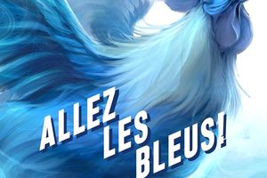 Allez les Bleus !