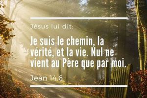 Le monde est en train de se transformer en une Sodome et Gomorrhe universelle ... Par Michel Janva - 2 septembre 2022