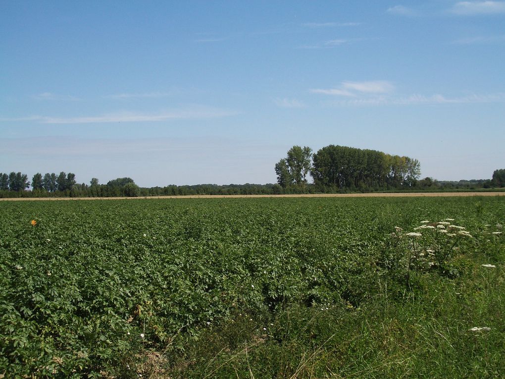 campagne circuit des voyettes de Nomain