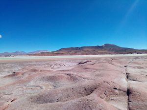 Desert Pierro Rojas.