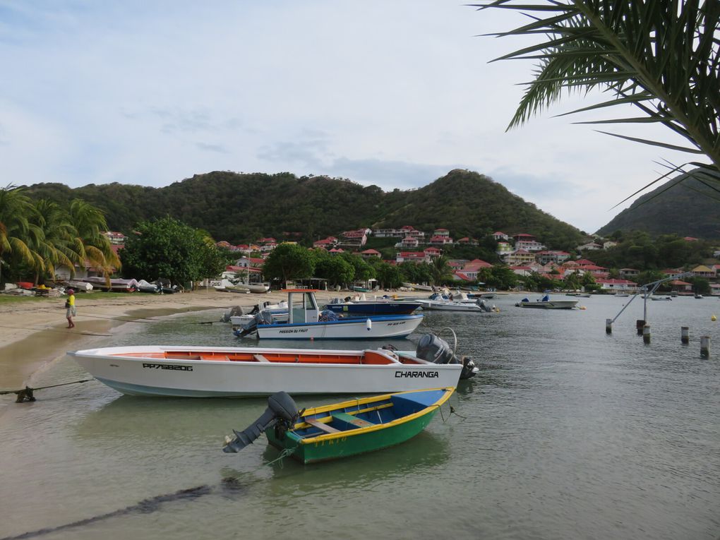 Les Saintes et Antigua 