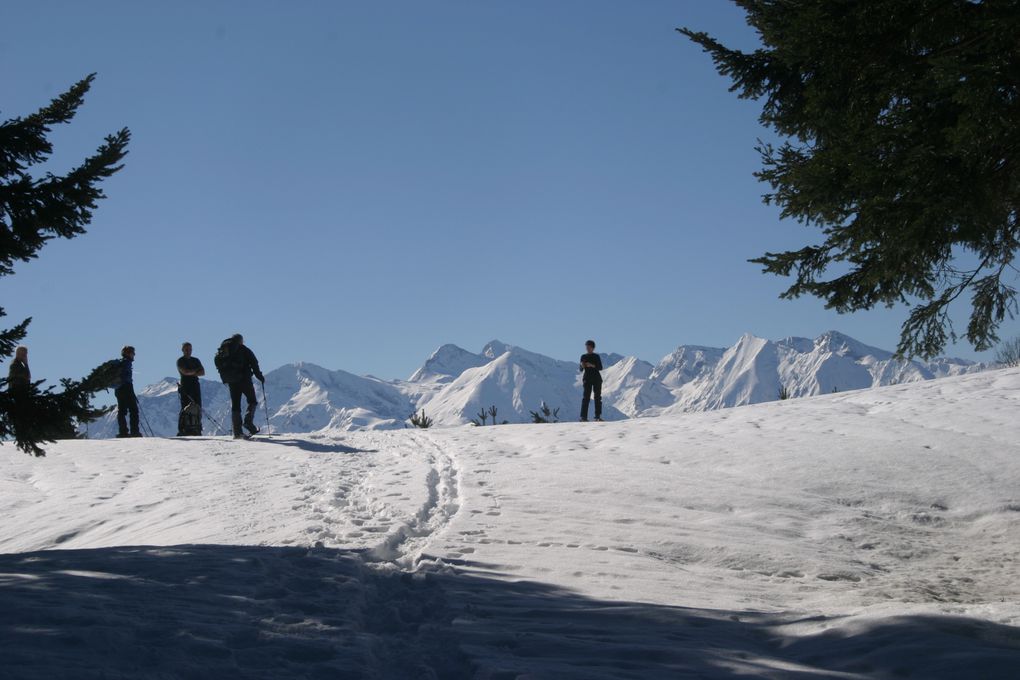 Album - Ardengost-.Col-Cap-de-Cros.-17-fevrier-2013