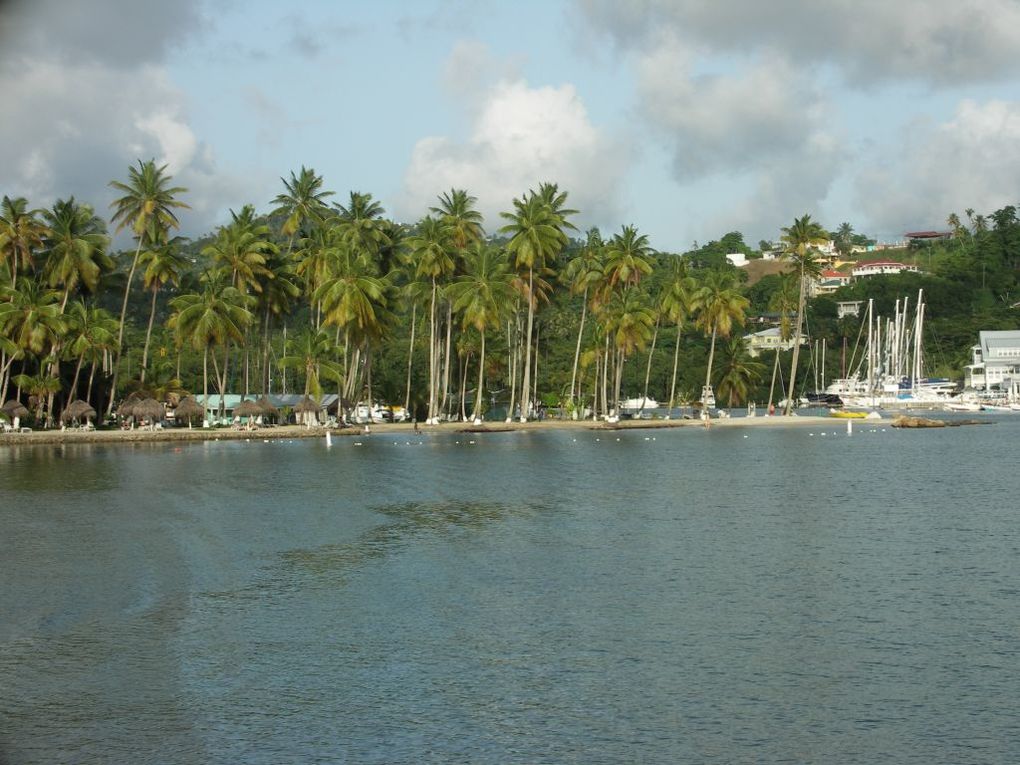 Album - 020_28 juillet Saint-Vincent Sainte-Lucie, Marigot Bay