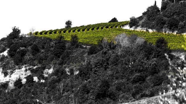 la campagne, la ville et les siennois, un peu de toscane en images