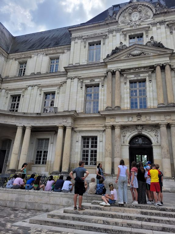 Voyages des 5e Les châteaux de la Loire (suite)