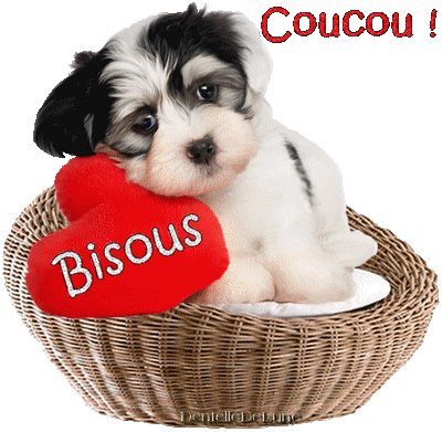Gif Anime Coucou Bisous Avec Petit Chien Endormi Les Gifs Animes De Dentelledelune
