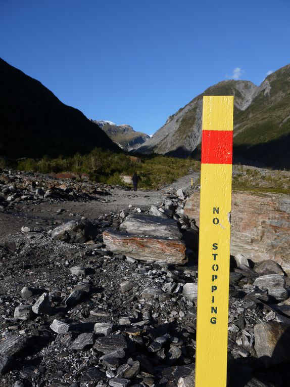 Fox Glacier